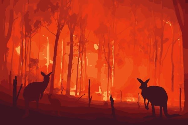 Australian fires